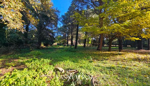 A Argelès, maison de caractère de 220 m² sur grande parcelle arborée avec piscine