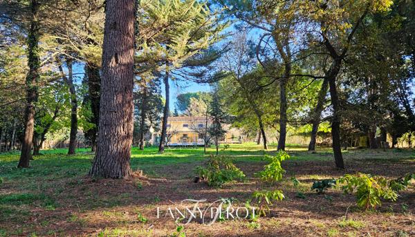 A Argelès, maison de caractère de 220 m² sur grande parcelle arborée avec piscine