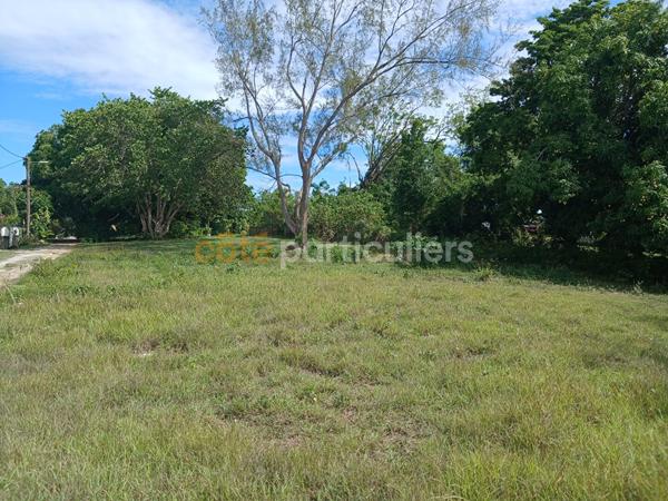 Vente
                Terrain1032 m² - SAINTE ANNE (97180)