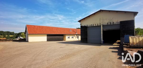 Immeuble à vendre 1 250 m² Plombières-les-Bains