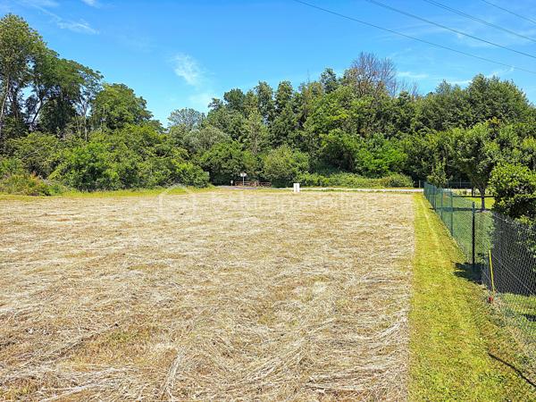 À Émancé, à proximité de Rambouillet, découvrez un terrain rare, élégant et préservé, offrant un cadre de vie particulièrement recherché pour construire une maison familiale dans un environnement calme, naturel et exceptionnel sans vis-à-vis. 

Situé en retrait de la rue, ce superbe terrain à bâtir de 1050 m² séduit immédiatement par son atmosphère paisible, son absence totale de vis-à-vis et son environnement boisé. Dès l’arrivée sur place, on ressent le potentiel du lieu : un espace ouvert, plat, lumineux, facile à aménager, où il devient simple d’imaginer une belle maison, une terrasse plein sud, un jardin paysager et une vie tournée vers la tranquillité. Le terrain bénéficie d’une très belle exposition, avec une façade arrière orienté plein sud. Cette orientation offre une luminosité naturelle remarquable tout au long de la journée, idéale pour concevoir une maison agréable, chaleureuse et parfaitement tournée vers ses extérieurs.

Classé en zone UBh du Plan Local d’Urbanisme, ce terrain profite d’un règlement d’urbanisme particulièrement favorable et souple. Le PLU permet d’envisager un très beau projet de construction, avec une maison de plain-pied aux volumes généreux, une habitation avec combles aménageables ou une construction en R+1. L’emprise au sol autorisée de 20 % sur la partie urbaine offre de belles possibilités architecturales, jusqu’à environ 210 m² de bâtiment au sol soit 420 m² de surface plancher.
Autre atout majeur : le terrain est libre de tout constructeur et n’est pas situé en secteur Bâtiments de France. Vous conservez ainsi une grande liberté dans le choix de votre constructeur, de votre style architectural et de l’aménagement de votre future propriété.

Le terrain est plat, clos sur un côté, sans arbre à abattre ni démolition à prévoir, terrain propre. L’eau et le tout-à-l’égout sont déjà présents. Les raccordements à l’électricité et à la fibre haut débit seront à prévoir et resteront à la charge de l’acquéreur.

Ce terrain s’adresse aux acquéreurs recherchant bien plus qu’une simple parcelle : un véritable lieu de vie, calme, lumineux, sans vis-à-vis, dans un environnement naturel de grande qualité, tout en restant proche de Rambouillet et des commodités environnantes.

Une opportunité rare pour réaliser une belle construction familiale dans un cadre privilégié.
Pour tout renseignement complémentaire ou pour organiser une visite, contactez-moi. Ce terrain mérite d’être découvert sur place afin d’en apprécier pleinement le calme, l’exposition, l’environnement exceptionnel et le très beau potentiel de construction.