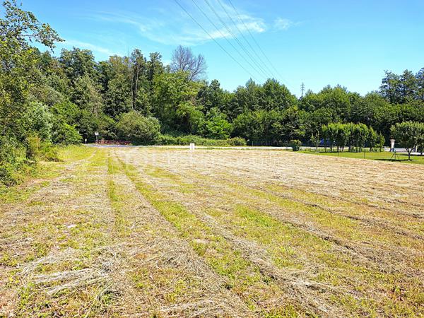 À Émancé, à proximité de Rambouillet, découvrez un terrain rare, élégant et préservé, offrant un cadre de vie particulièrement recherché pour construire une maison familiale dans un environnement calme, naturel et exceptionnel sans vis-à-vis. 

Situé en retrait de la rue, ce superbe terrain à bâtir de 1050 m² séduit immédiatement par son atmosphère paisible, son absence totale de vis-à-vis et son environnement boisé. Dès l’arrivée sur place, on ressent le potentiel du lieu : un espace ouvert, plat, lumineux, facile à aménager, où il devient simple d’imaginer une belle maison, une terrasse plein sud, un jardin paysager et une vie tournée vers la tranquillité. Le terrain bénéficie d’une très belle exposition, avec une façade arrière orienté plein sud. Cette orientation offre une luminosité naturelle remarquable tout au long de la journée, idéale pour concevoir une maison agréable, chaleureuse et parfaitement tournée vers ses extérieurs.

Classé en zone UBh du Plan Local d’Urbanisme, ce terrain profite d’un règlement d’urbanisme particulièrement favorable et souple. Le PLU permet d’envisager un très beau projet de construction, avec une maison de plain-pied aux volumes généreux, une habitation avec combles aménageables ou une construction en R+1. L’emprise au sol autorisée de 20 % sur la partie urbaine offre de belles possibilités architecturales, jusqu’à environ 210 m² de bâtiment au sol soit 420 m² de surface plancher.
Autre atout majeur : le terrain est libre de tout constructeur et n’est pas situé en secteur Bâtiments de France. Vous conservez ainsi une grande liberté dans le choix de votre constructeur, de votre style architectural et de l’aménagement de votre future propriété.

Le terrain est plat, clos sur un côté, sans arbre à abattre ni démolition à prévoir, terrain propre. L’eau et le tout-à-l’égout sont déjà présents. Les raccordements à l’électricité et à la fibre haut débit seront à prévoir et resteront à la charge de l’acquéreur.

Ce terrain s’adresse aux acquéreurs recherchant bien plus qu’une simple parcelle : un véritable lieu de vie, calme, lumineux, sans vis-à-vis, dans un environnement naturel de grande qualité, tout en restant proche de Rambouillet et des commodités environnantes.

Une opportunité rare pour réaliser une belle construction familiale dans un cadre privilégié.
Pour tout renseignement complémentaire ou pour organiser une visite, contactez-moi. Ce terrain mérite d’être découvert sur place afin d’en apprécier pleinement le calme, l’exposition, l’environnement exceptionnel et le très beau potentiel de construction.