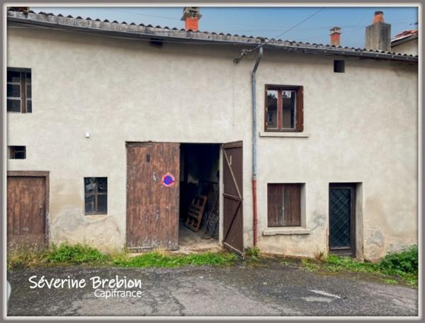 Ensemble immobilier composé de 2 maison et d'un jardin LA MONNERIE LE MONTEL (63)