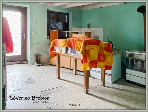 Ensemble immobilier composé de 2 maison et d'un jardin LA MONNERIE LE MONTEL (63)