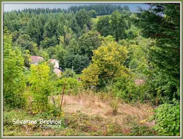 Ensemble immobilier composé de 2 maison et d'un jardin LA MONNERIE LE MONTEL (63)