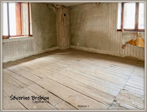 Ensemble immobilier composé de 2 maison et d'un jardin LA MONNERIE LE MONTEL (63)