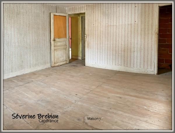 Ensemble immobilier composé de 2 maison et d'un jardin LA MONNERIE LE MONTEL (63)