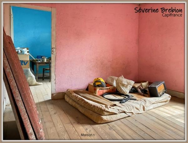 Ensemble immobilier composé de 2 maison et d'un jardin LA MONNERIE LE MONTEL (63)