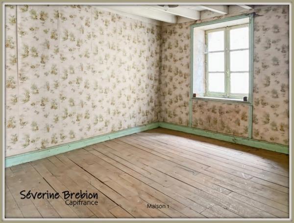 Ensemble immobilier composé de 2 maison et d'un jardin LA MONNERIE LE MONTEL (63)