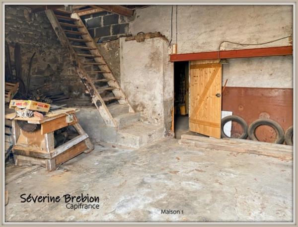 Ensemble immobilier composé de 2 maison et d'un jardin LA MONNERIE LE MONTEL (63)