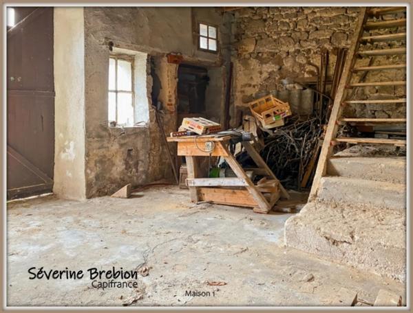 Ensemble immobilier composé de 2 maison et d'un jardin LA MONNERIE LE MONTEL (63)