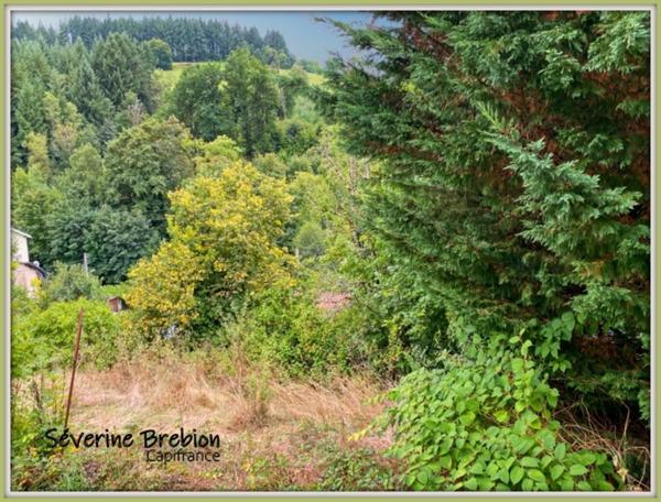 Ensemble immobilier composé de 2 maison et d'un jardin LA MONNERIE LE MONTEL (63)