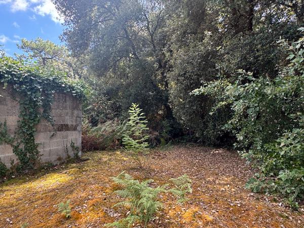 Maison Rivedoux Plage 3 pièce(s) 51 m2