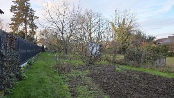 Vente / Maison et grand terrain