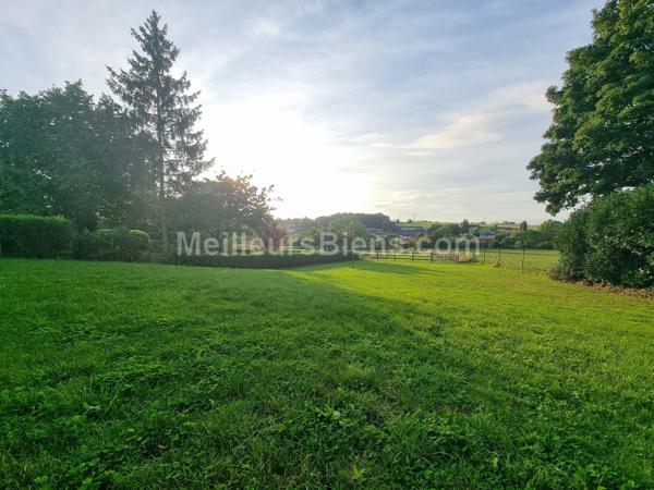 Belle Maison 3 chambres, Jardin, Box Chevaux, Carrière