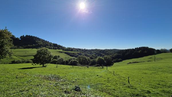 Superbe propriété de caractère sur 2 hectares Saint-Cernin (15310)