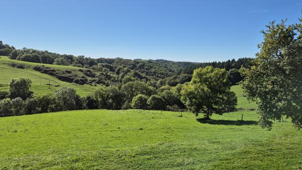 Superbe propriété de caractère sur 2 hectares Saint-Cernin (15310)