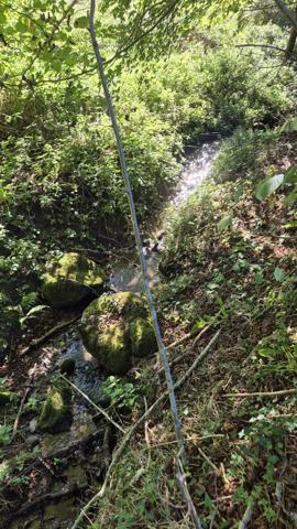 Superbe propriété de caractère sur 2 hectares Saint-Cernin (15310)