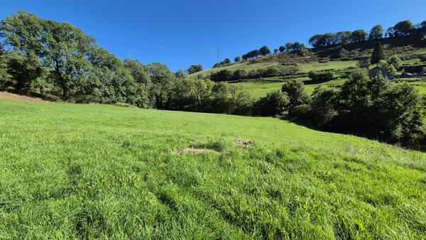 Superbe propriété de caractère sur 2 hectares Saint-Cernin (15310)