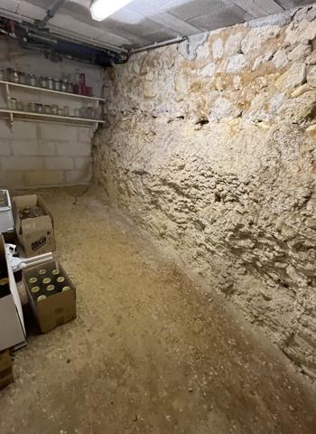 Manoir 4 chambres, 1 dépendance et grand terrain Mirambeau