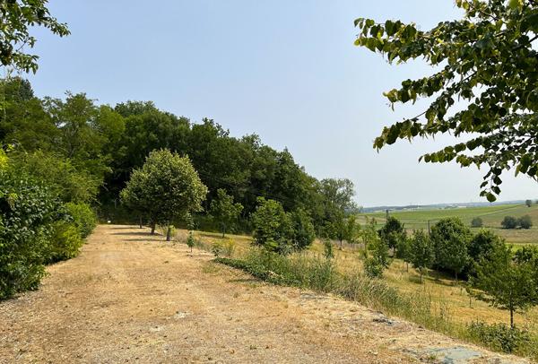Manoir 4 chambres, 1 dépendance et grand terrain Mirambeau