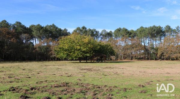 Maison à vendre 15 pièces 430 m² Saint-Vincent-de-Tyrosse