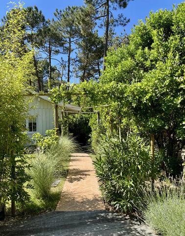Cap Ferret, entre bassin et océan, ravissante villa bois, 4 chambres, 3 SB/SE, piscine chauffée, 3 cabanons, sur très belle parcelle végétalisée de 800m2