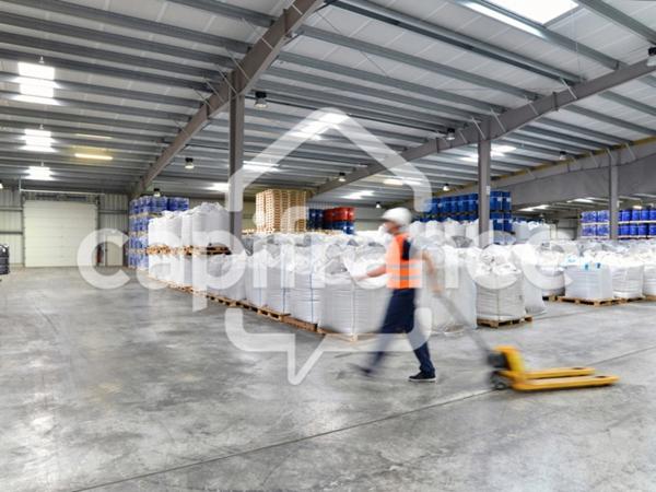 vente environ entrepôt industriel 14000m² a vendre proche de BOURGOIN JALLIEU (38)sur environ 24000m² de terrain