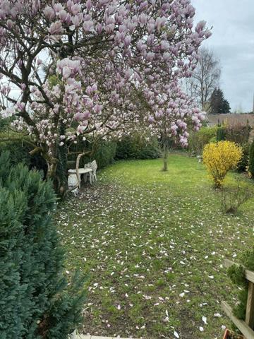 Maison à vendre à Faches-Thumesnil dans le Nord (59155), ref : VM3119-59019