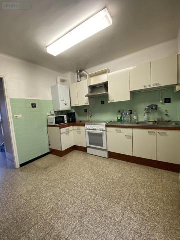 Maison à vendre à Faches-Thumesnil dans le Nord (59155), ref : VM3119-59019