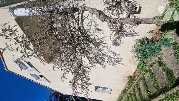 SAINTE LUCE SUR LOIRE avec vue sur Loire Maison 4 chambres