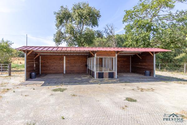 PORNIC - BORD DE MER - LA GELTIÈRE - 150M2 HABITABLES - 40 718 M2 TERRAIN