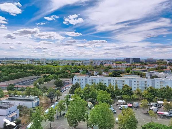Appartement 156 000 € Toulouse 4 p 83 m² DPE D