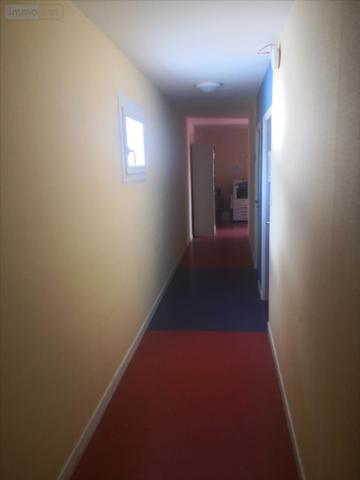 Fonds et/ou murs commerciaux à louer à Mayenne en Mayenne (53100), ref : 53075-FC166