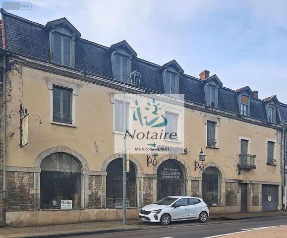 Local mixte (Pro/Hab) à vendre à Tournus en Saône-et-Loire (71700), ref : 71022/293
