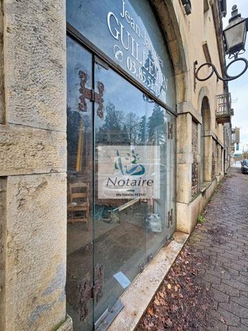 Local mixte (Pro/Hab) à vendre à Tournus en Saône-et-Loire (71700), ref : 71022/293
