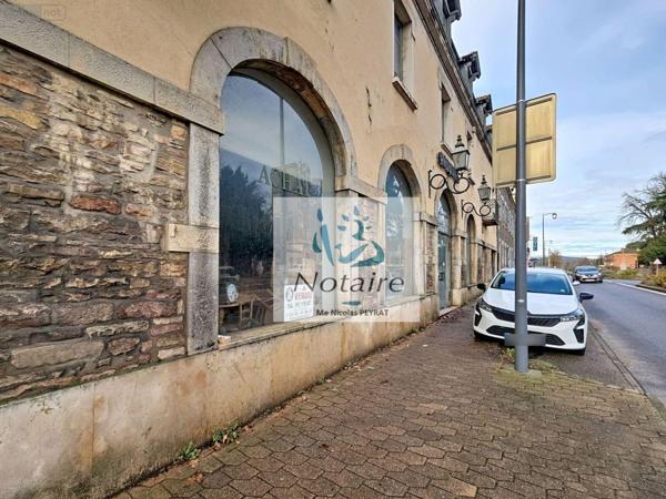 Local mixte (Pro/Hab) à vendre à Tournus en Saône-et-Loire (71700), ref : 71022/293