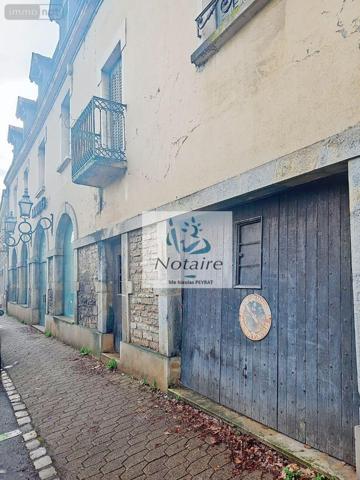 Local mixte (Pro/Hab) à vendre à Tournus en Saône-et-Loire (71700), ref : 71022/293