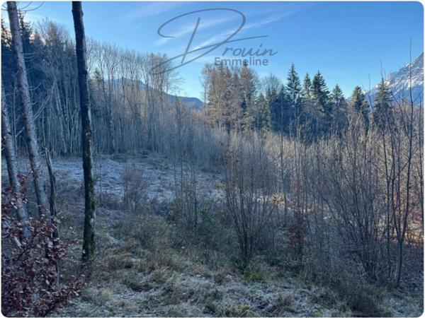 Ensemble de parcelles agricoles ARACHES LA FRASSE (74)