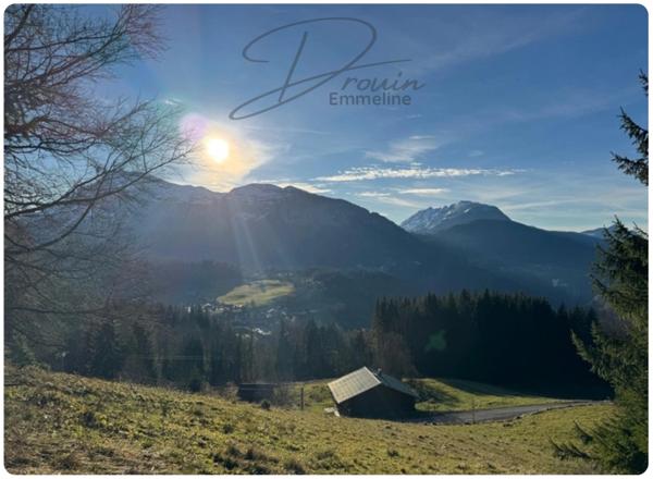 Ensemble de parcelles agricoles ARACHES LA FRASSE (74)