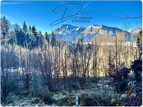 Ensemble de parcelles agricoles ARACHES LA FRASSE (74)