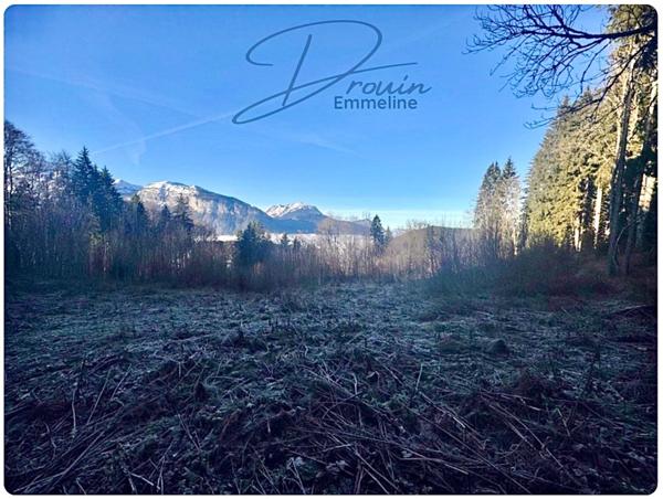 Ensemble de parcelles agricoles ARACHES LA FRASSE (74)