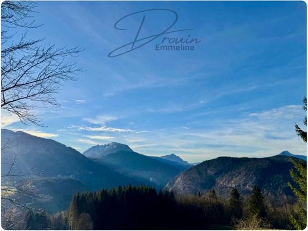 Ensemble de parcelles agricoles ARACHES LA FRASSE (74)