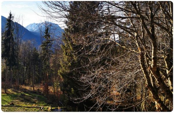 Ensemble de parcelles agricoles ARACHES LA FRASSE (74)