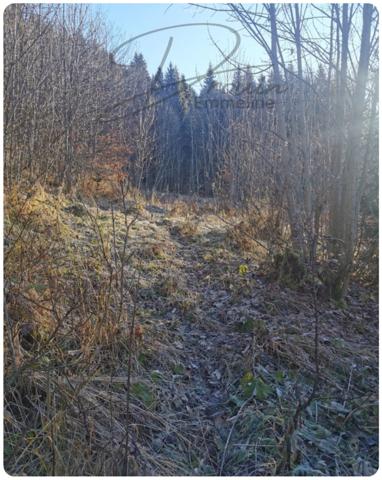 Ensemble de parcelles agricoles ARACHES LA FRASSE (74)