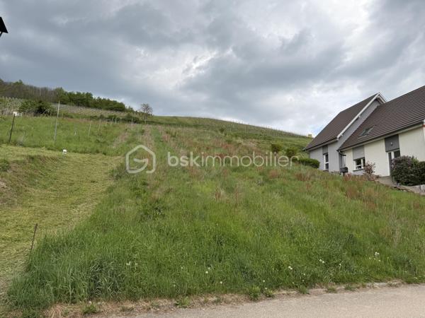 Situé dans un environnement calme et agréable, beau terrain de 17,53 ares offrant un beau potentiel pour votre futur projet immobilier.

Le terrain est partiellement constructible et bénéficie des viabilisations en limite de propriété (eau, électricité, etc.), facilitant les raccordements.

Une partie du terrain, située en hauteur, est non constructible, ce qui permet de conserver un cadre naturel et dégagé.

Idéal pour une maison individuelle dans un secteur paisible tout en restant proche des commodités.

Pour plus d’informations ou organiser une visite, n’hésitez pas à me contacter.