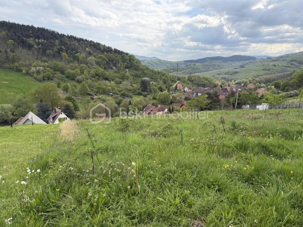 Situé dans un environnement calme et agréable, beau terrain de 17,53 ares offrant un beau potentiel pour votre futur projet immobilier.

Le terrain est partiellement constructible et bénéficie des viabilisations en limite de propriété (eau, électricité, etc.), facilitant les raccordements.

Une partie du terrain, située en hauteur, est non constructible, ce qui permet de conserver un cadre naturel et dégagé.

Idéal pour une maison individuelle dans un secteur paisible tout en restant proche des commodités.

Pour plus d’informations ou organiser une visite, n’hésitez pas à me contacter.