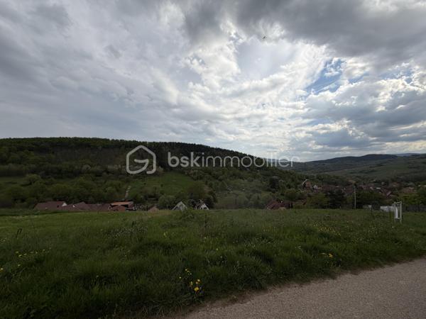 Situé dans un environnement calme et agréable, beau terrain de 17,53 ares offrant un beau potentiel pour votre futur projet immobilier.

Le terrain est partiellement constructible et bénéficie des viabilisations en limite de propriété (eau, électricité, etc.), facilitant les raccordements.

Une partie du terrain, située en hauteur, est non constructible, ce qui permet de conserver un cadre naturel et dégagé.

Idéal pour une maison individuelle dans un secteur paisible tout en restant proche des commodités.

Pour plus d’informations ou organiser une visite, n’hésitez pas à me contacter.