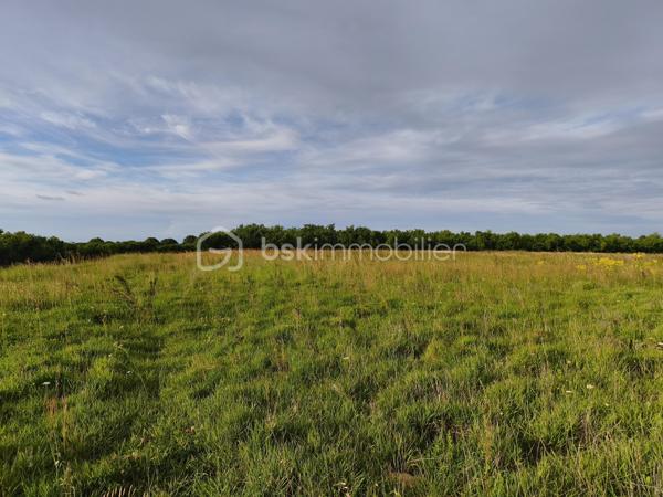 Ce terrain, constructible attend votre projet de construction.
 Le terrain est plat, en fin de zone résidentielle, tourné vers la campagne, tout en étant proche des commodités.
Il vous restera la viabilisation à prévoir pour votre maison individuelle.
L'eau et l'électricité passent tout proche.