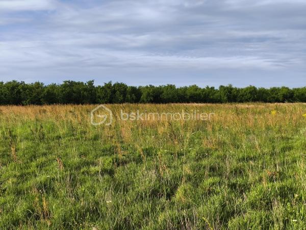 Ce terrain, constructible attend votre projet de construction.
 Le terrain est plat, en fin de zone résidentielle, tourné vers la campagne, tout en étant proche des commodités.
Il vous restera la viabilisation à prévoir pour votre maison individuelle.
L'eau et l'électricité passent tout proche.